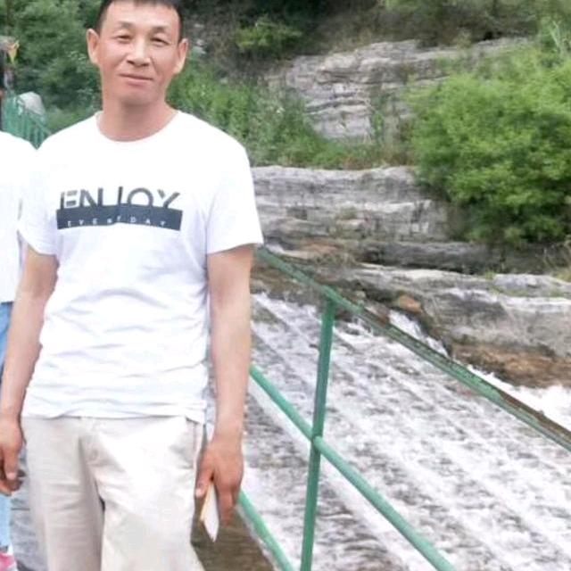 z展望未来
