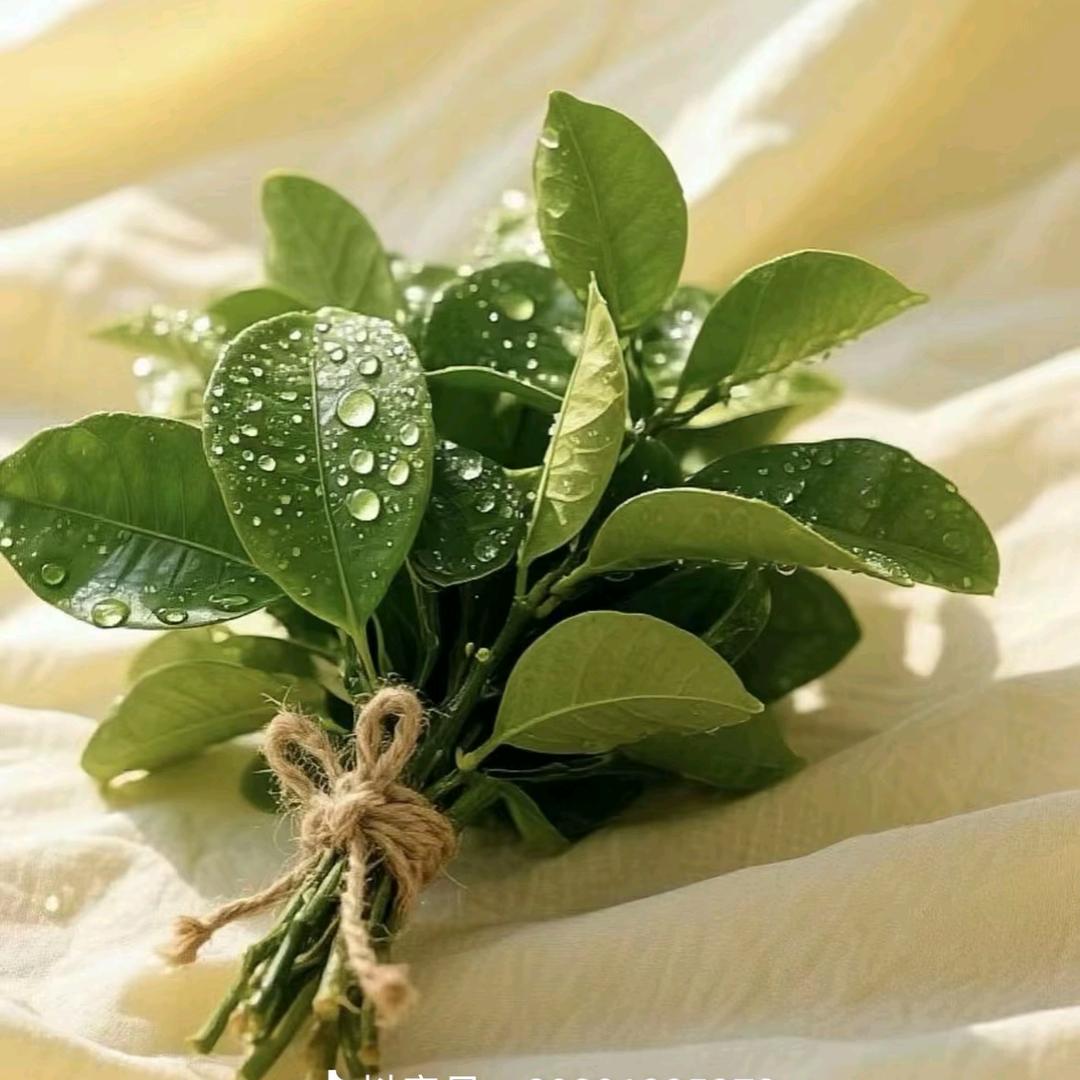 厚富小两口地锅鸡