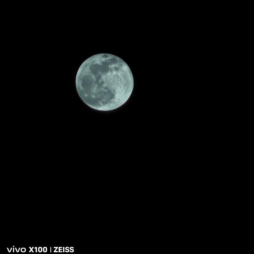 大金爱熊猫儿🐼