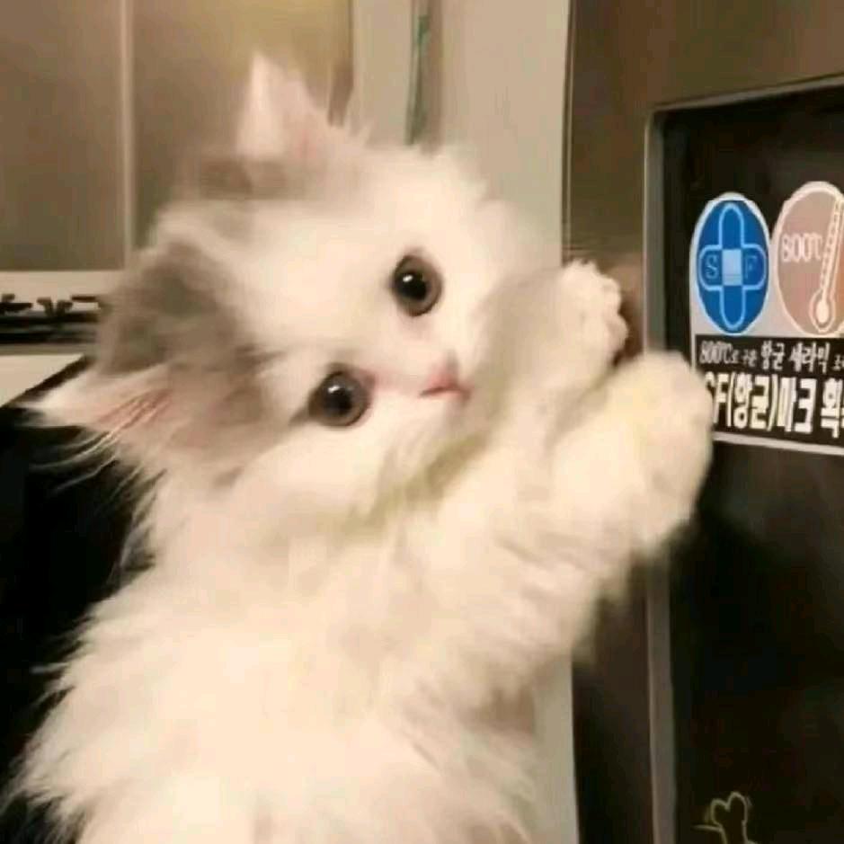爱吃转基因