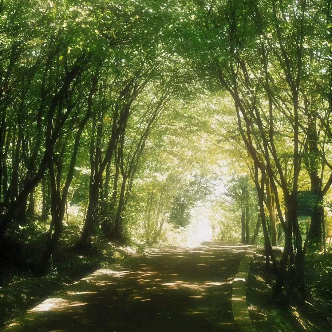 迷斯李🐒🐒🐒🐒