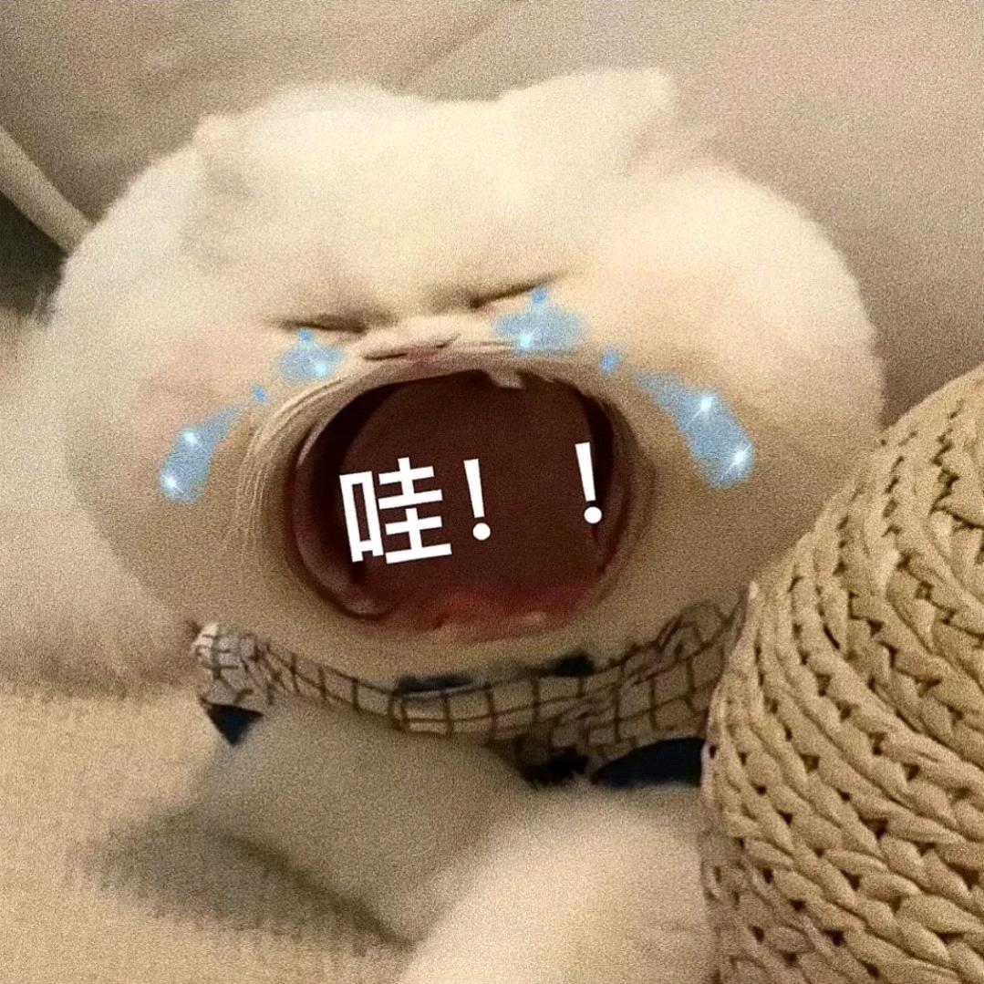 小喜不孤单