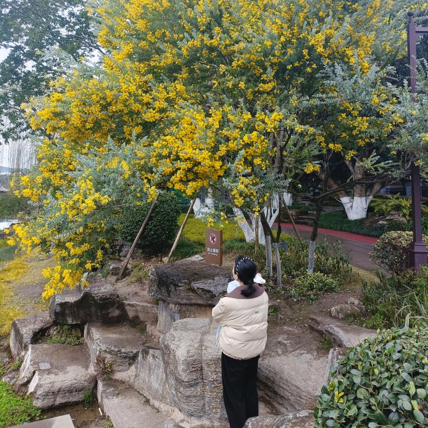 南西（勇闯抖音