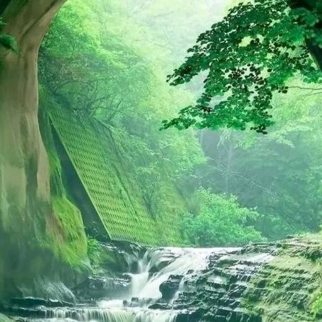 予西种业有限公司~小号专业批发蔬菜良种