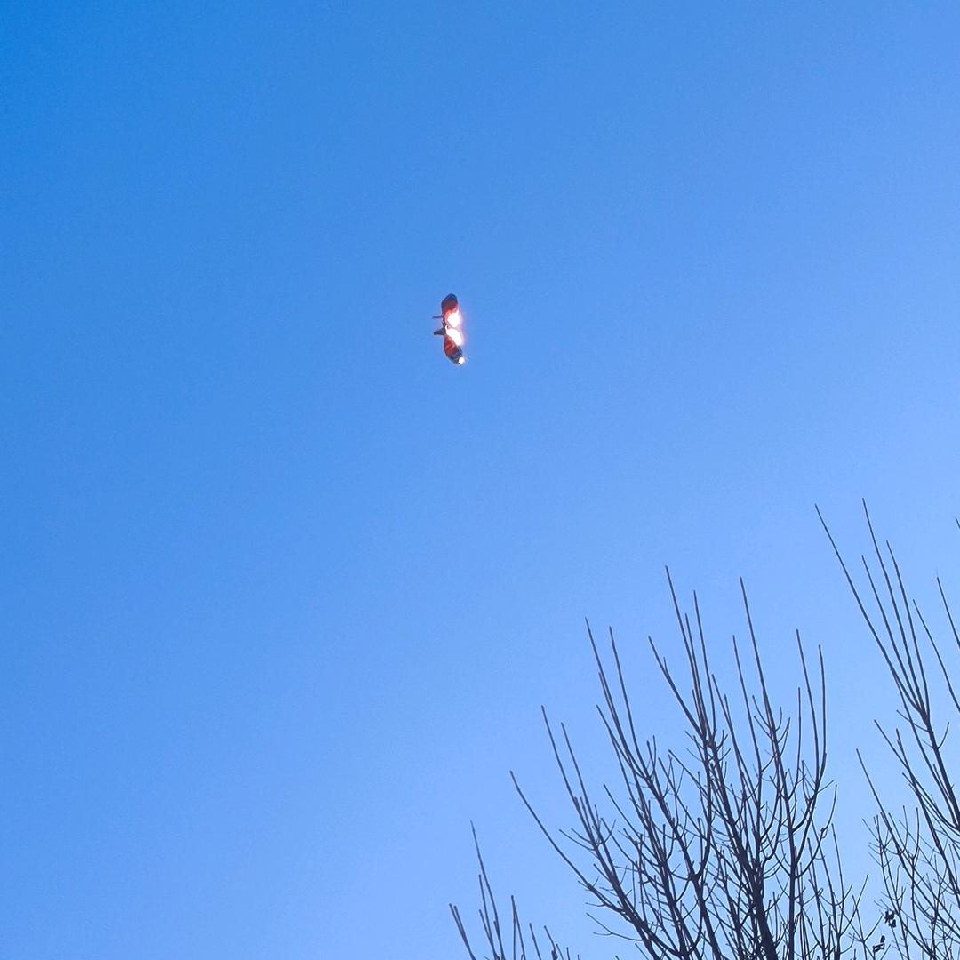 星耀