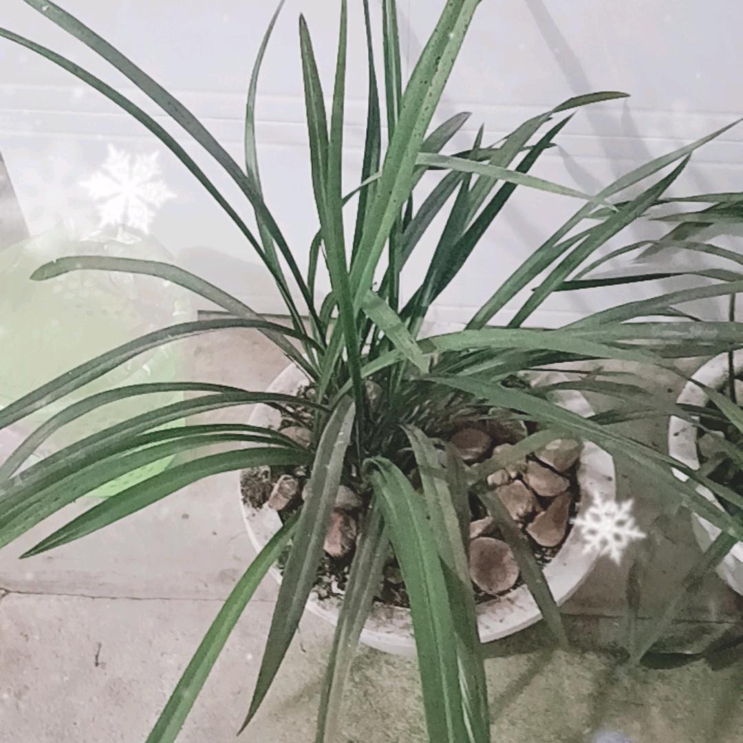 相遇在天