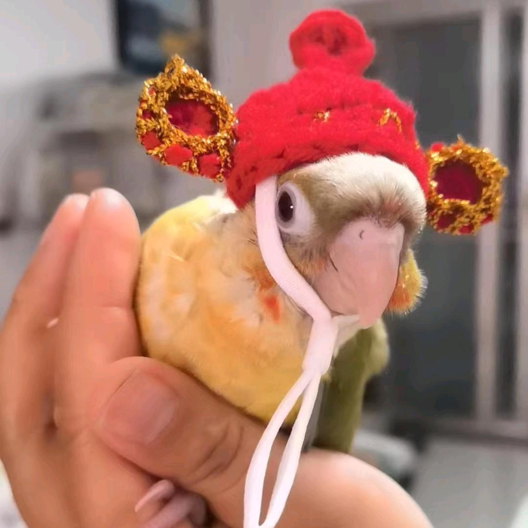 可乐上的瓶盖
