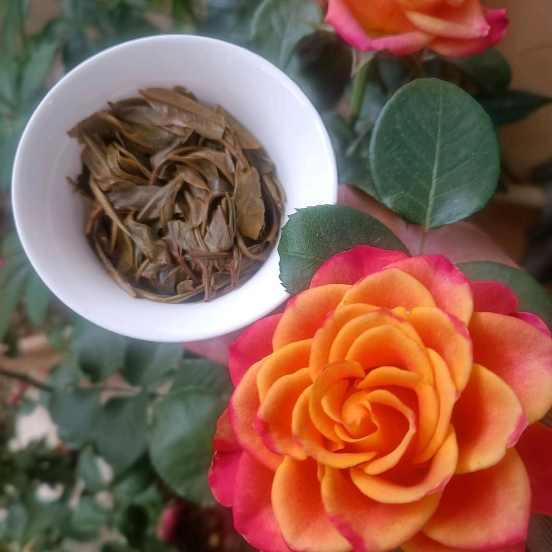 無名茶屋