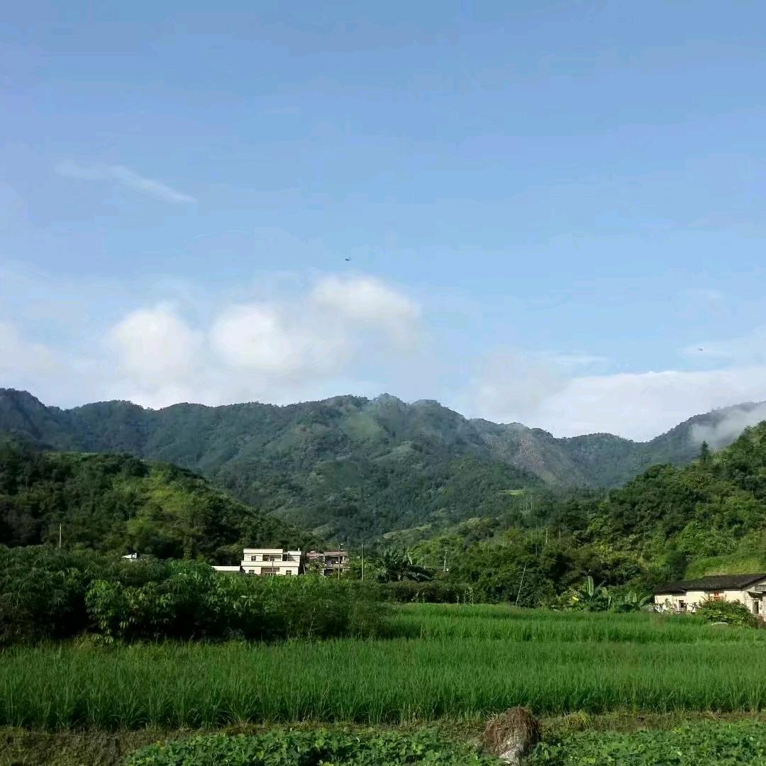 范儿