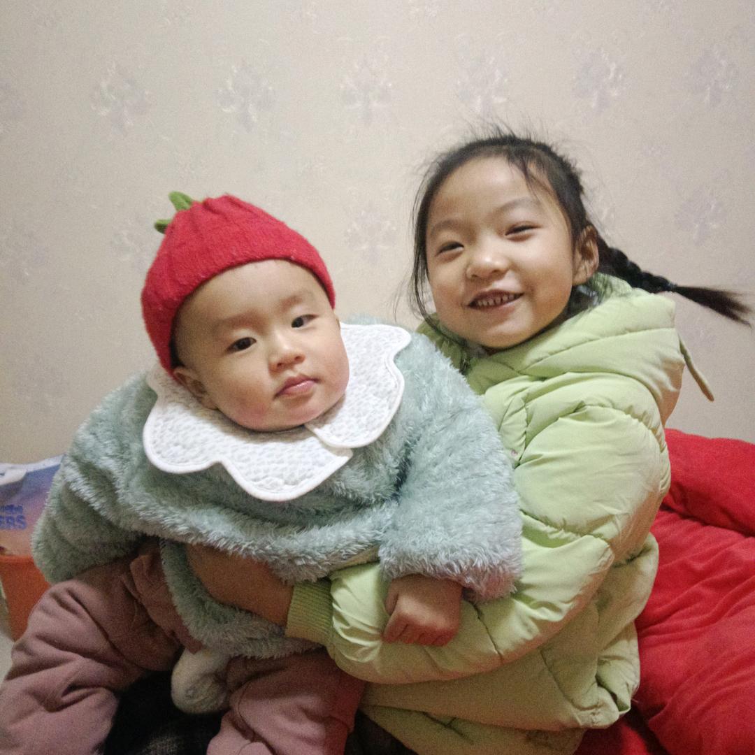 雪松竹子红叶石楠球专供