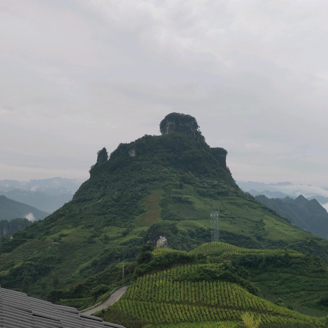 陈疯已酒