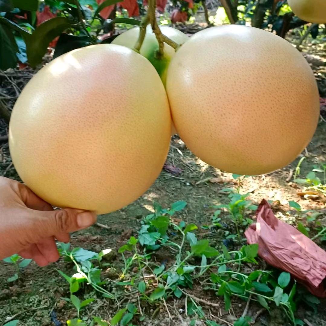 心态