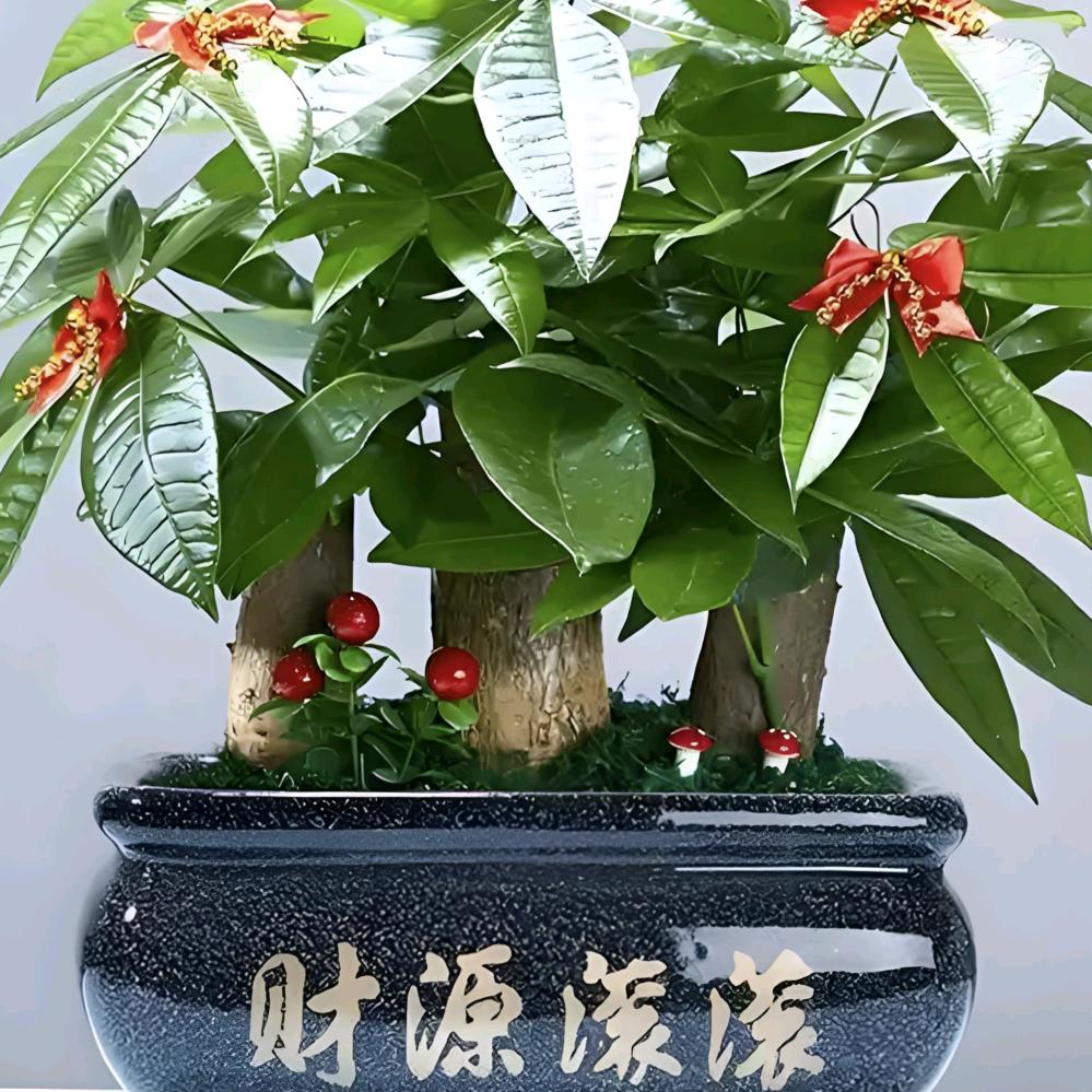 端州区桔林哥电子商务