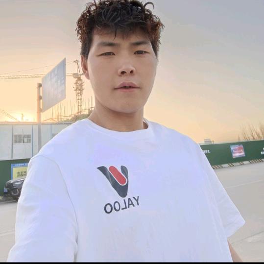 伤心泪长流李总