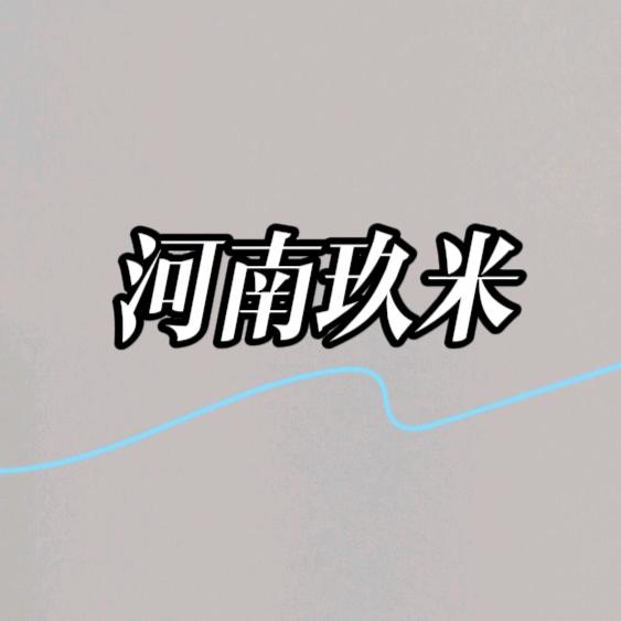 河南玖米信息技术有限公司