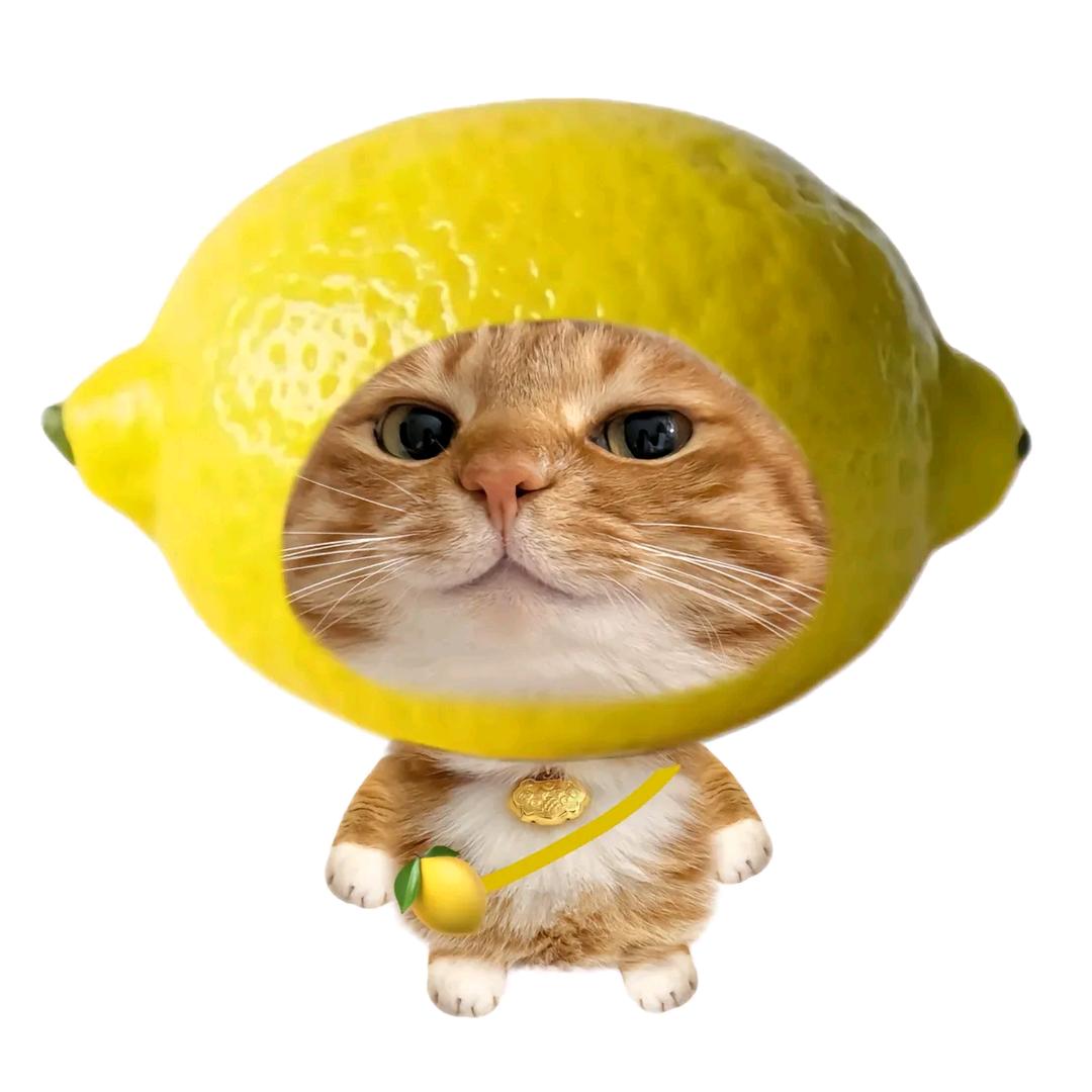 嘻嘻
