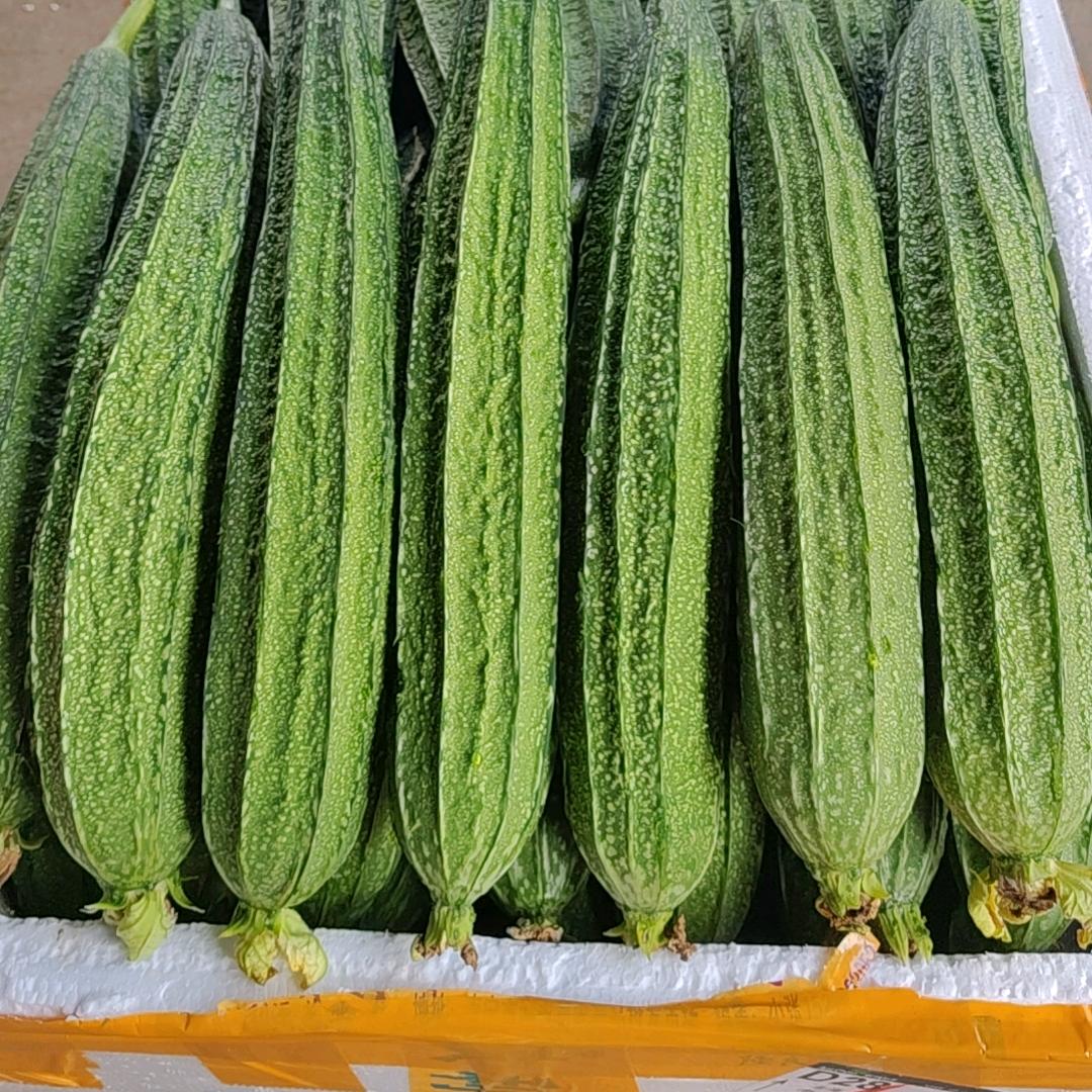 天使的心8572425530599