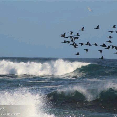 浅梦