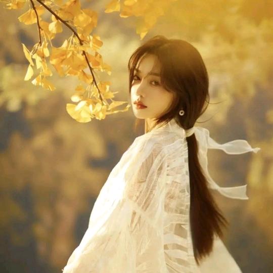 喜禅师傅