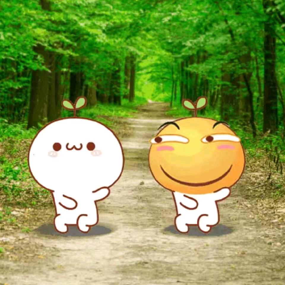 小宝哥