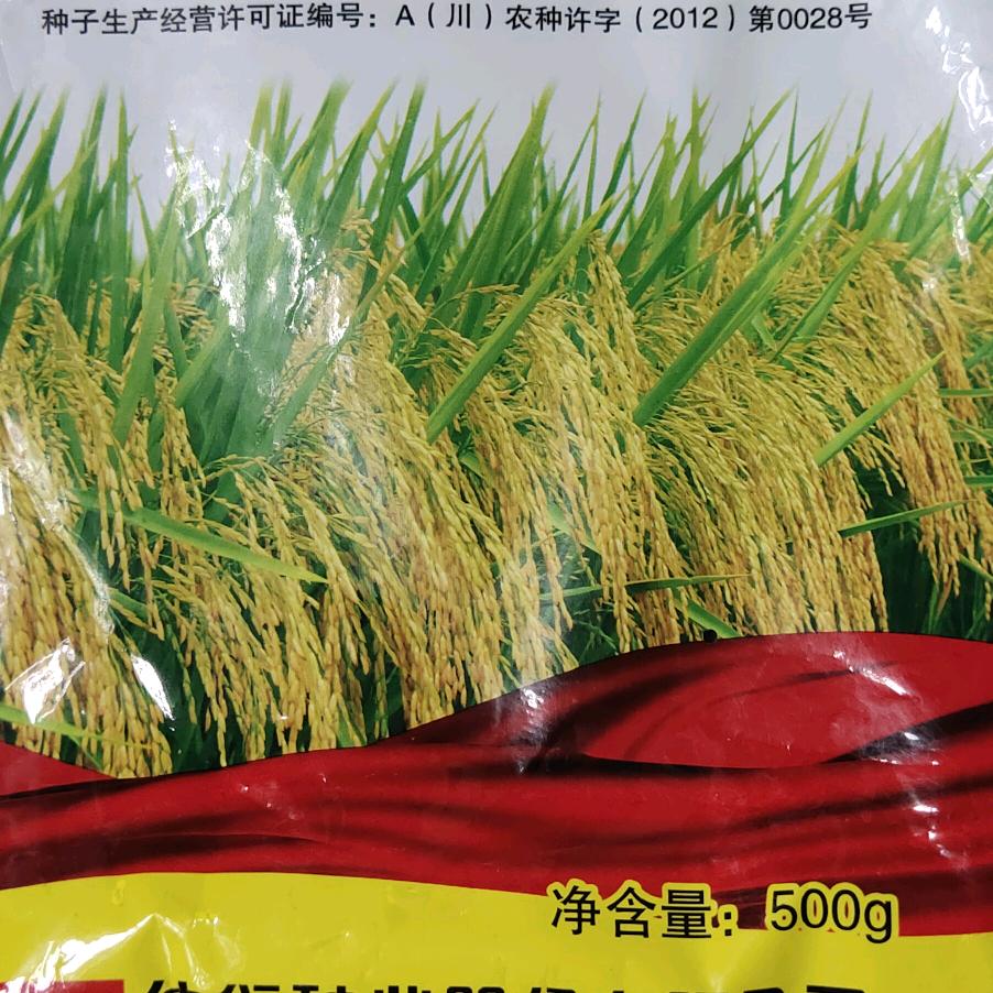 难圆的梦