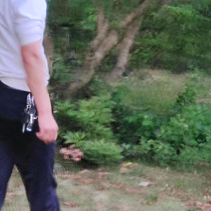 用户王芳拉货全国各地！！！