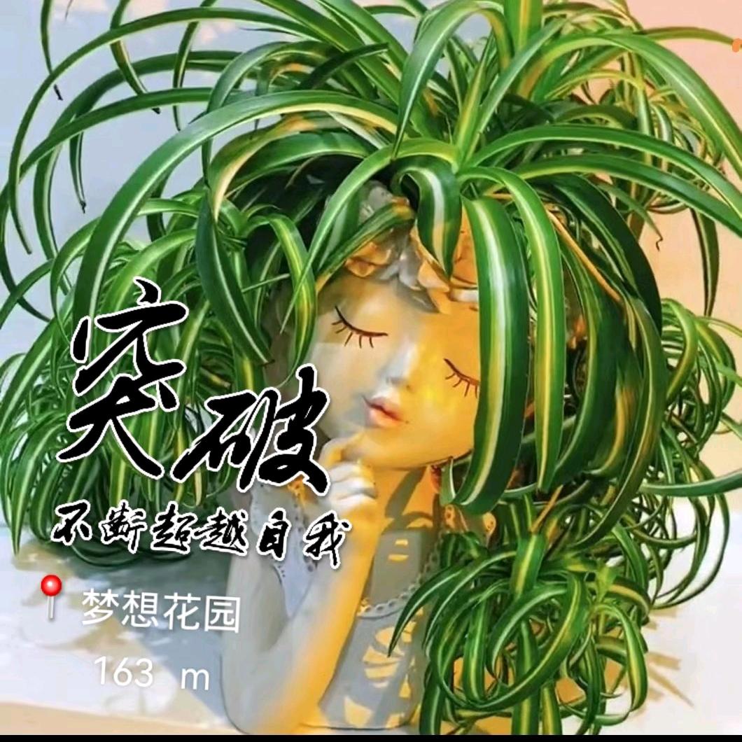 梦想花园🍒