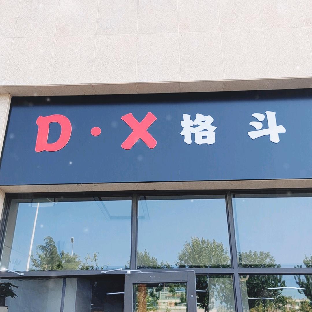 DX格斗