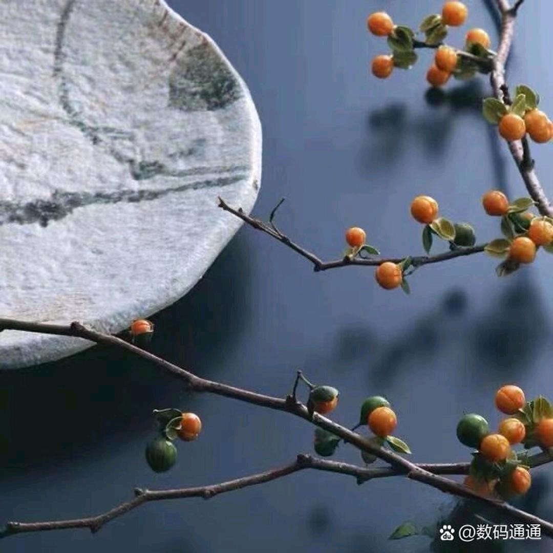踏风而来，随风而去