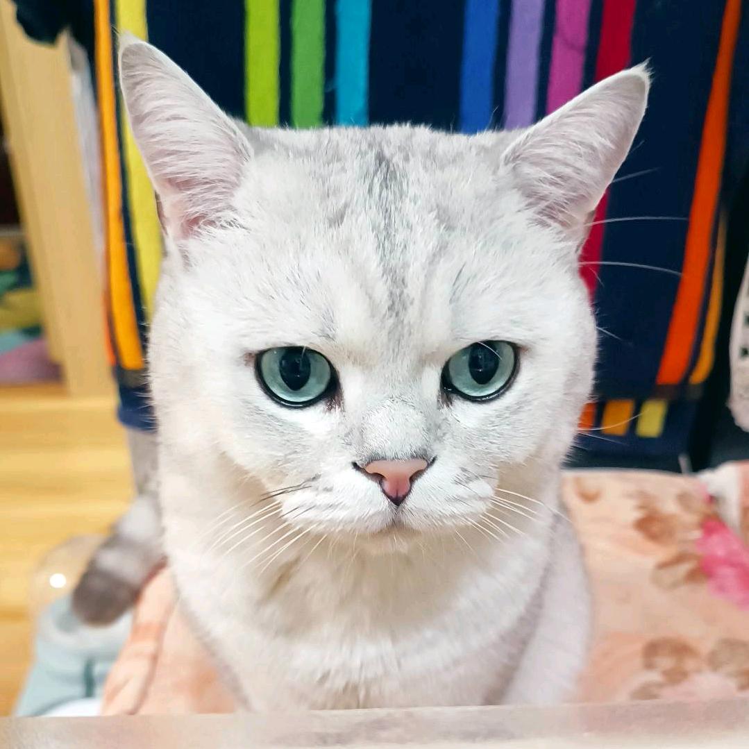 原来～