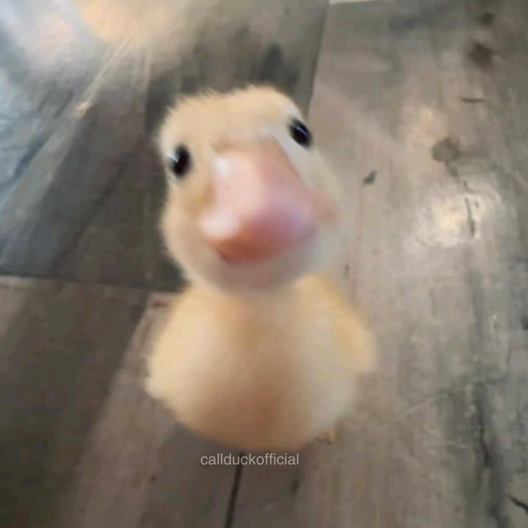 不爱上幼儿园
