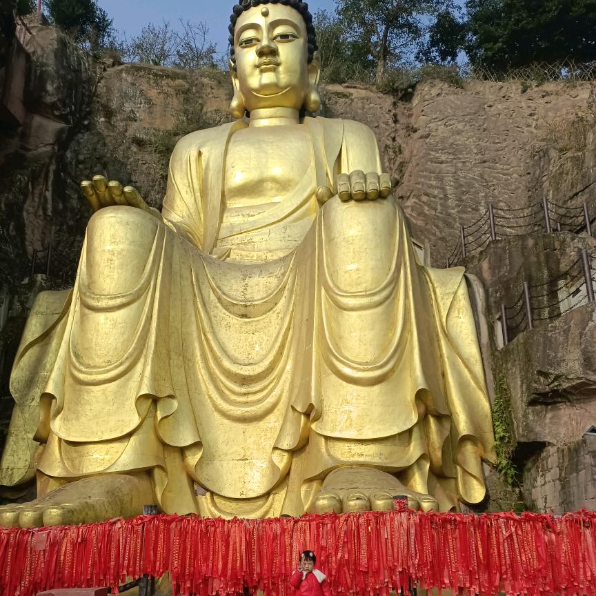 美美