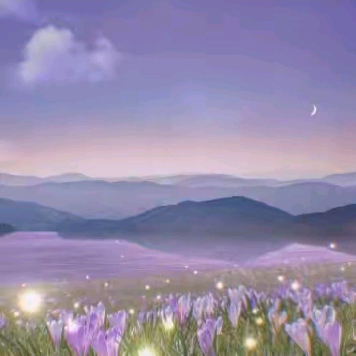 彩旗