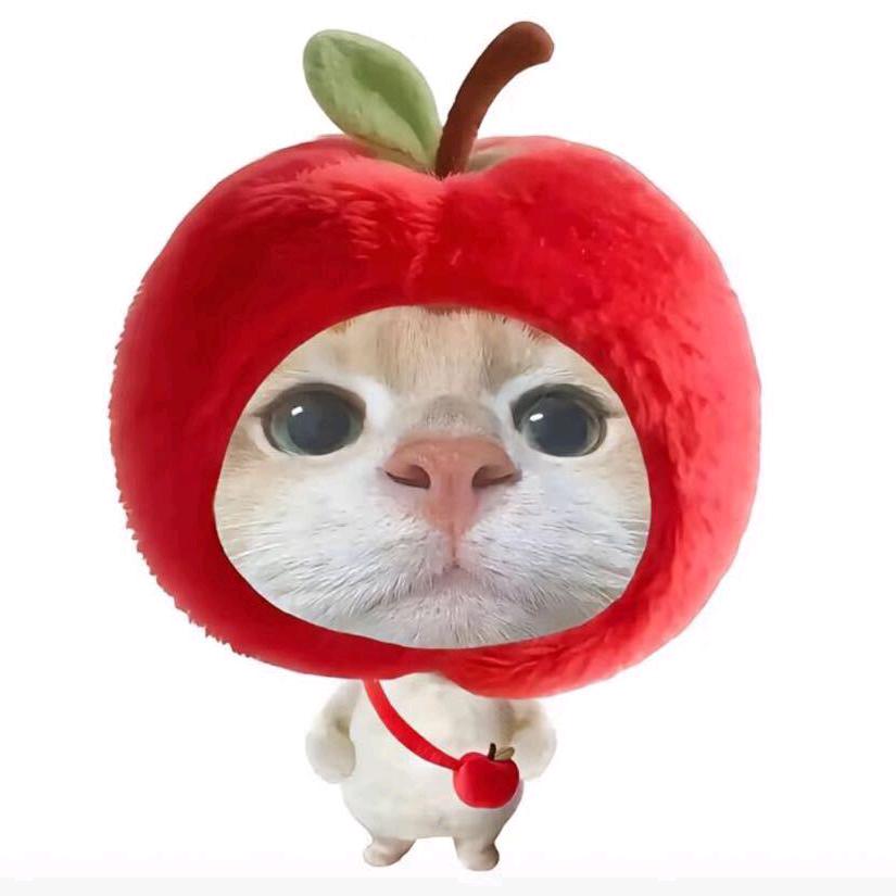 oei