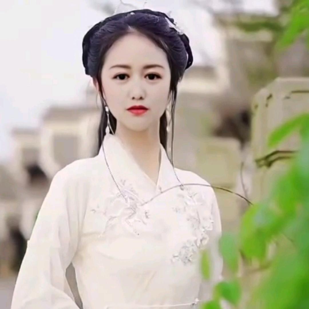 浅梦沫惜