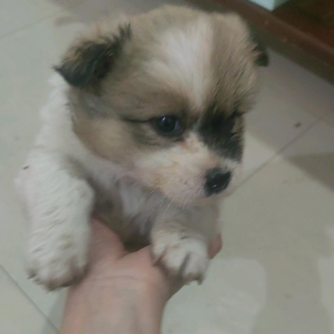 别问我，不说话。