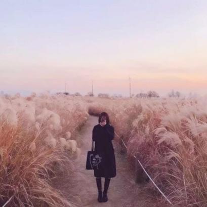 遇见之旅（旅小鹿陪玩）