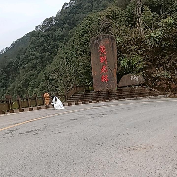 回心转意