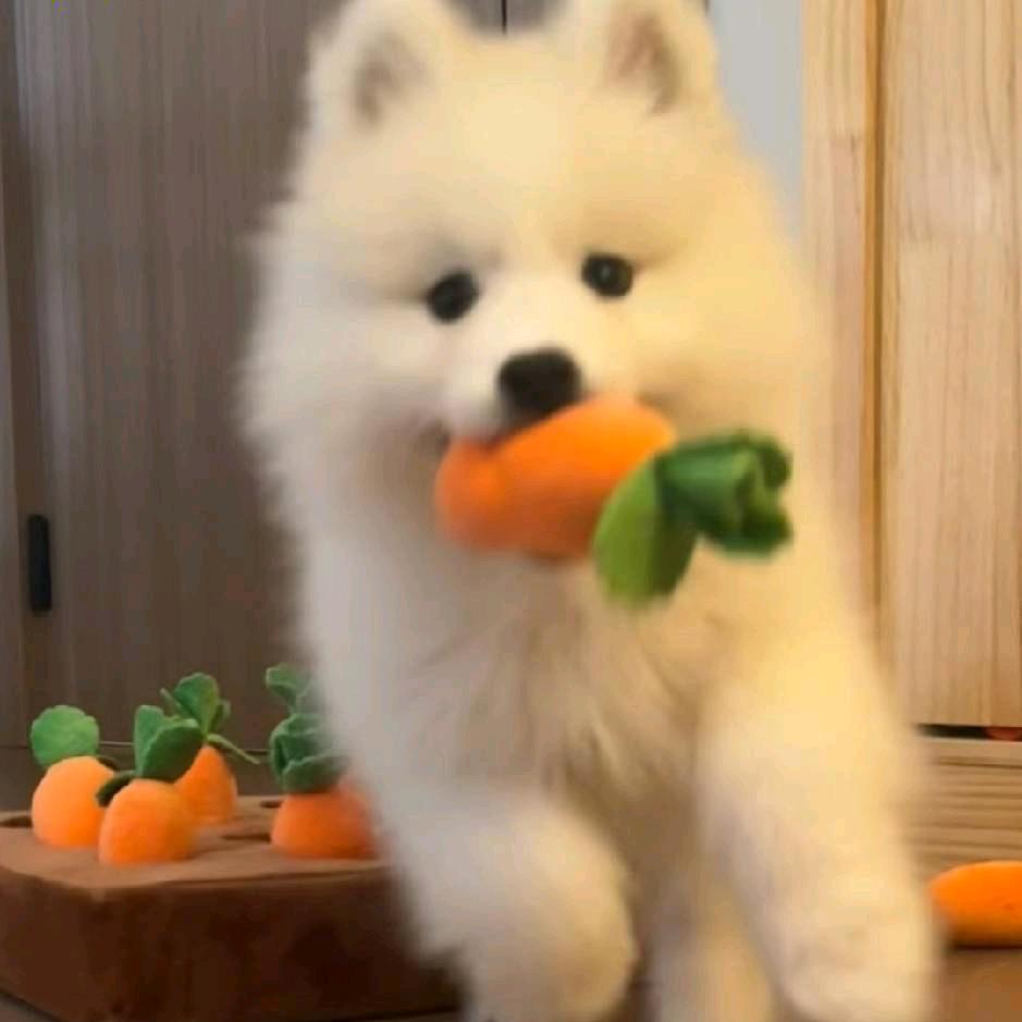 🧸