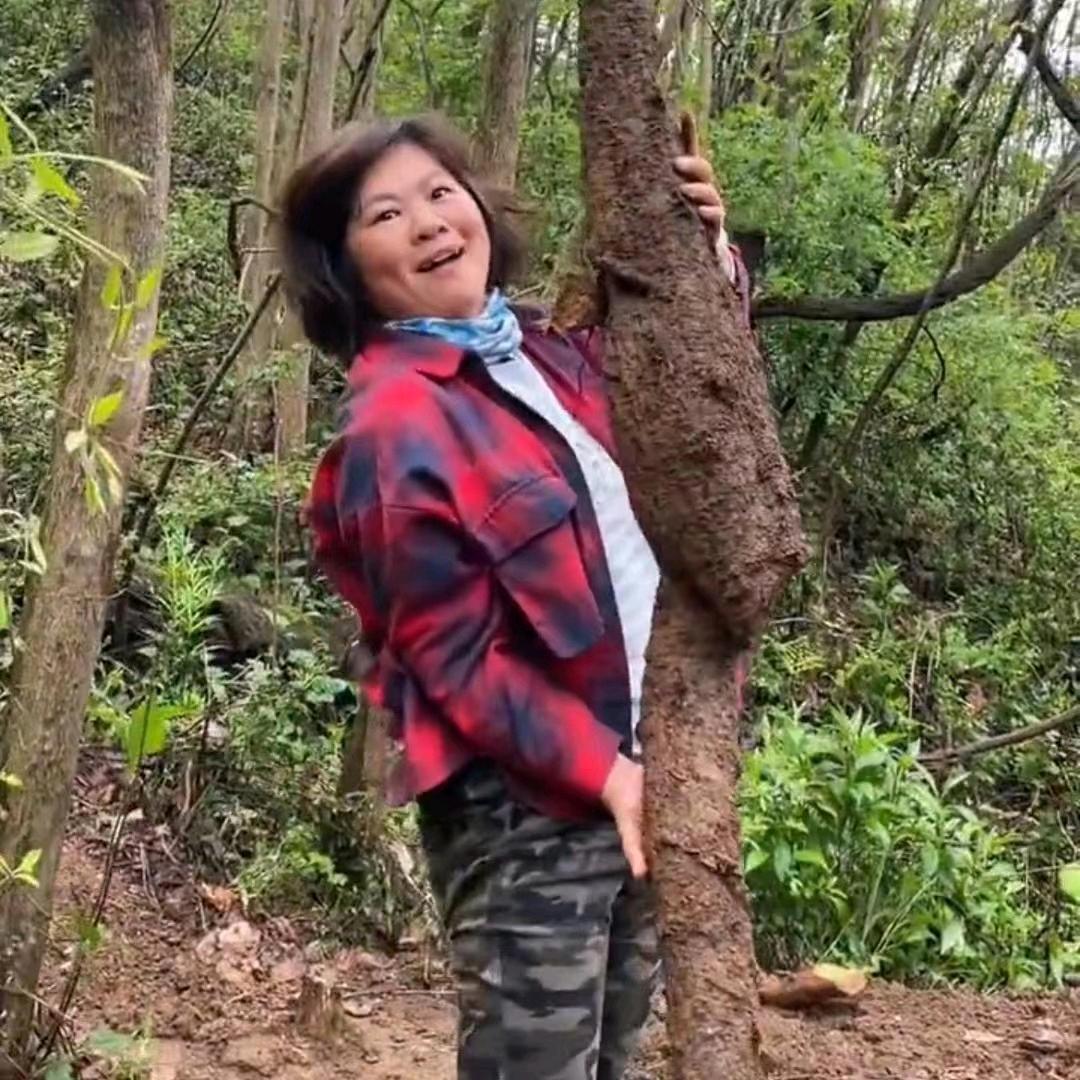 燕姐老鸦柿盆景