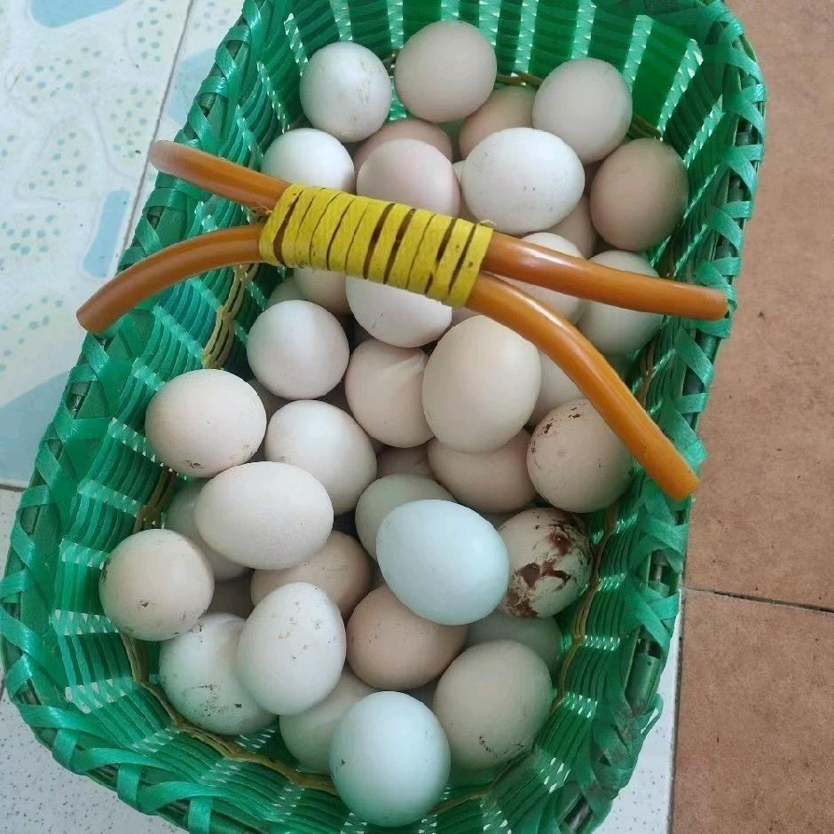 卖土鸡蛋的娟姐