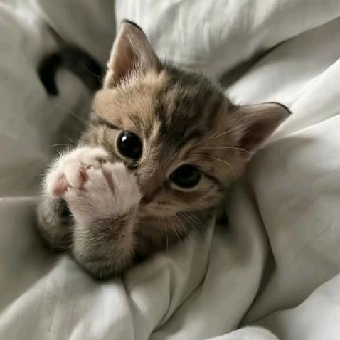 ㅤㅤㅤㅤㅤㅤ￴ ￴￴