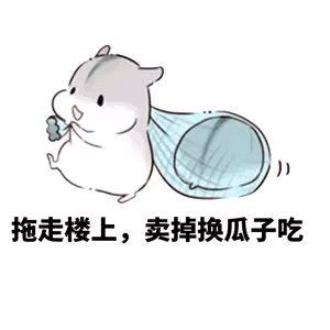 月牙🌙