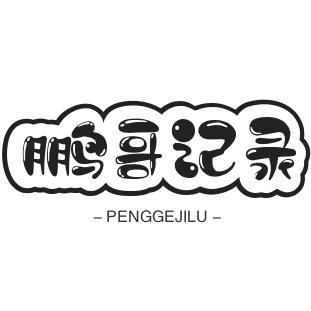 鹏哥记录