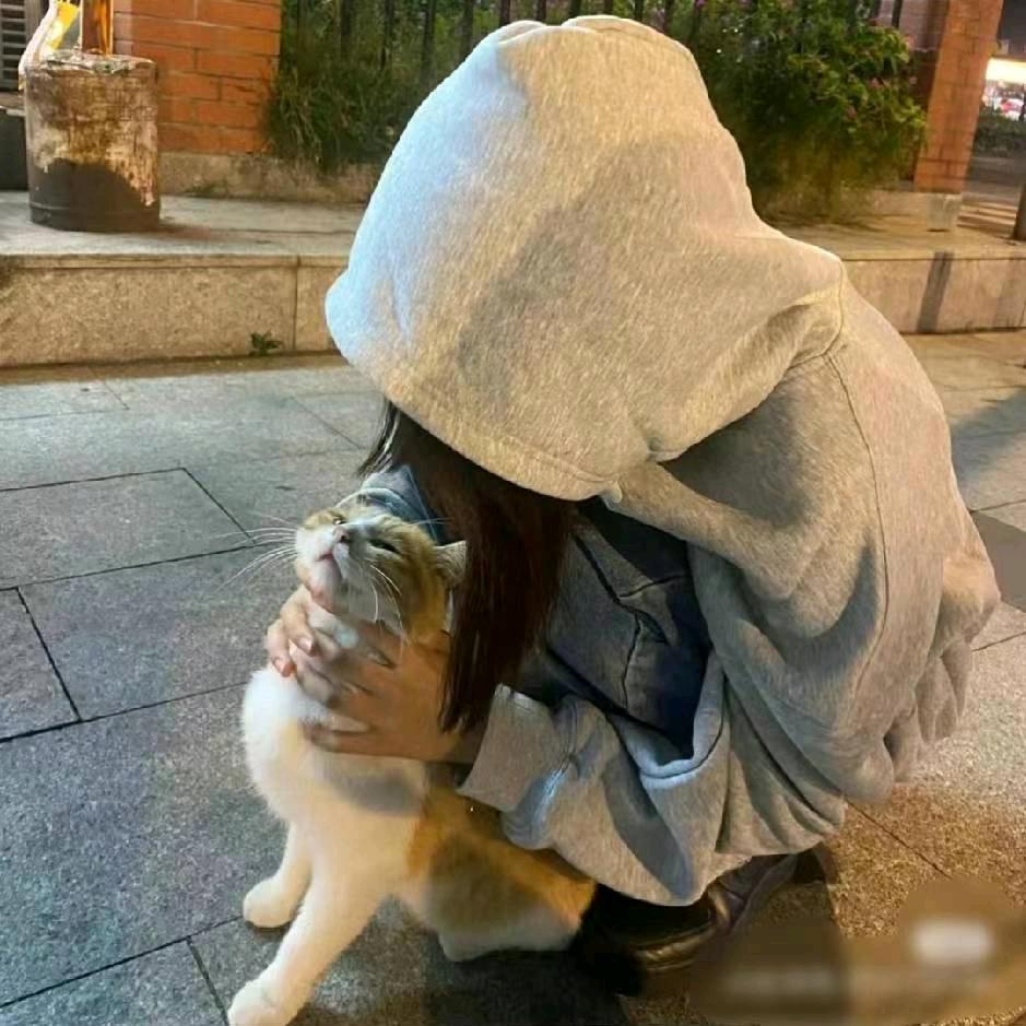 羊又走丢了 927