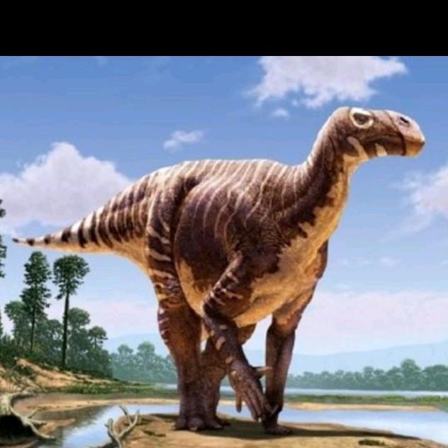 🌦️秦龙🌦️