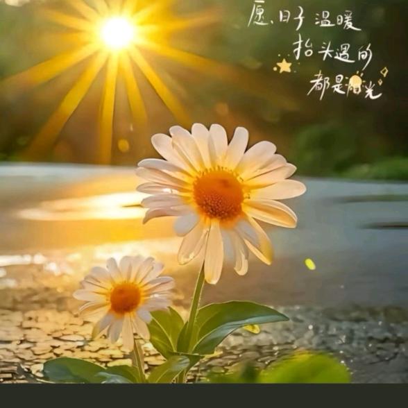 余生不将就