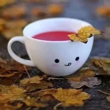(ღ˘多余⌣˘ღ)