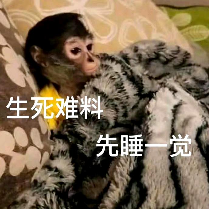 蜡笔小折