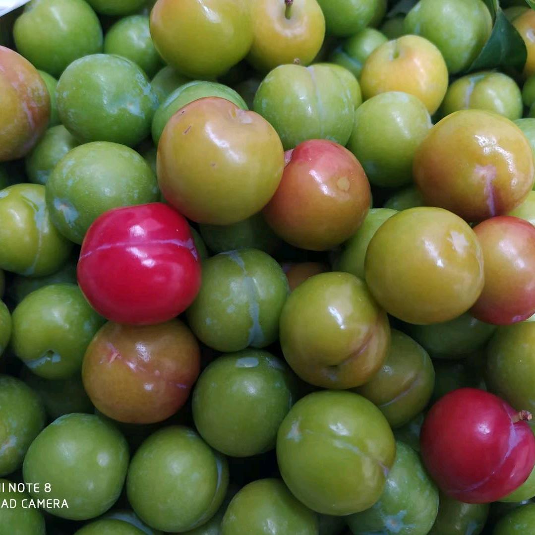 🐲龙马精神🐲